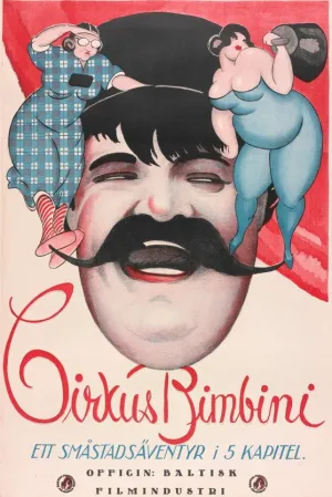 The Bimbini Circus