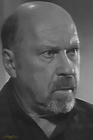 Vyacheslav Brovkin