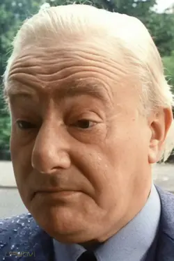Wim van den Brink