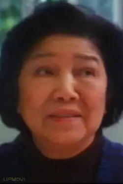 Hui Fan