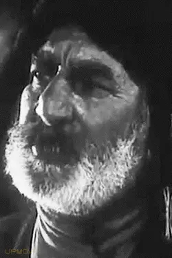 Zaal Terishvili