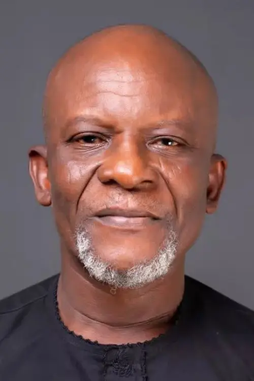 Toyin Oshinaike