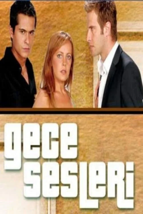صدای شبانه