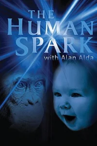 The Human Spark