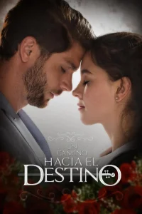 Road to Destiny