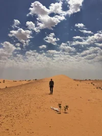 صحرا