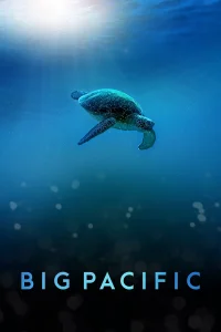 Big Pacific