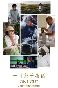 یک فنجان، هزار داستان