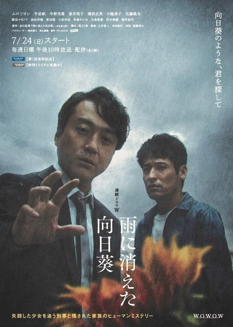 گل آفتاب disappeared در باران