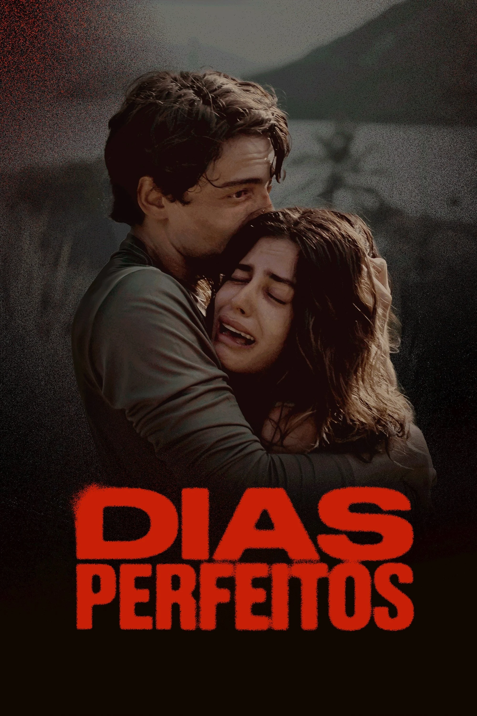 Perfect Days