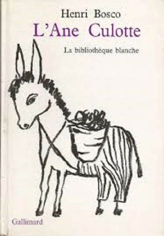سوراخی در پشمالی