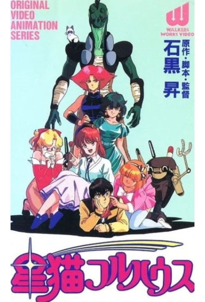 سِر کَت فول هاوس