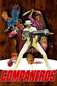 Los compañeros