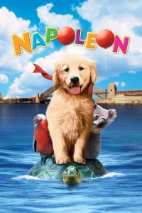 Napoleón, el perrito aventurero