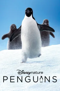 Pingouins