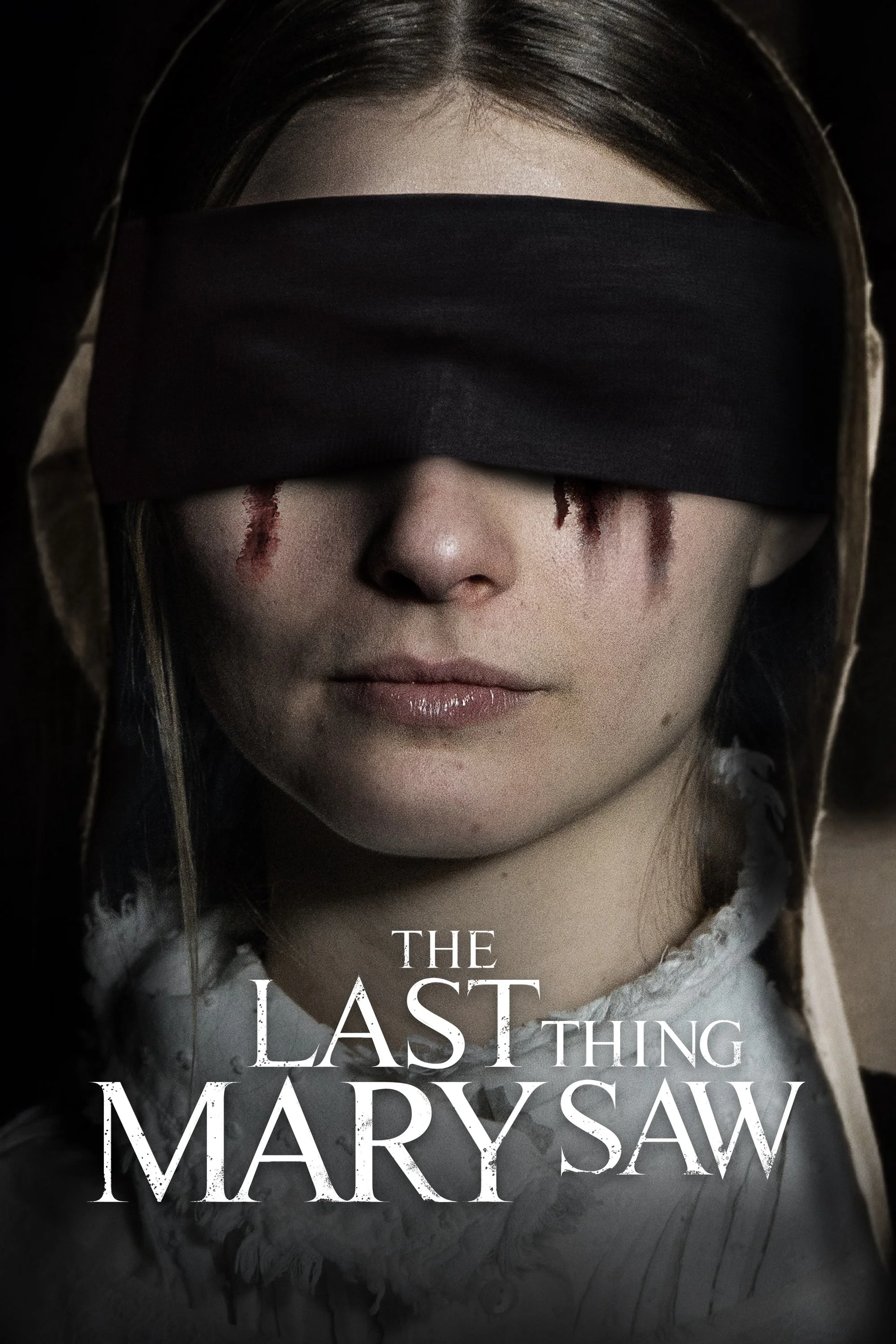 La Última Cosa que Mary Vio