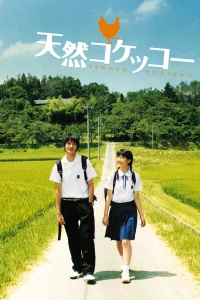 نسیمی ملایم در روستا