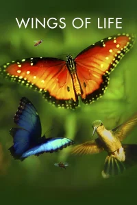 بال‌های زندگی