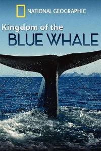 Le royaume de la baleine bleue