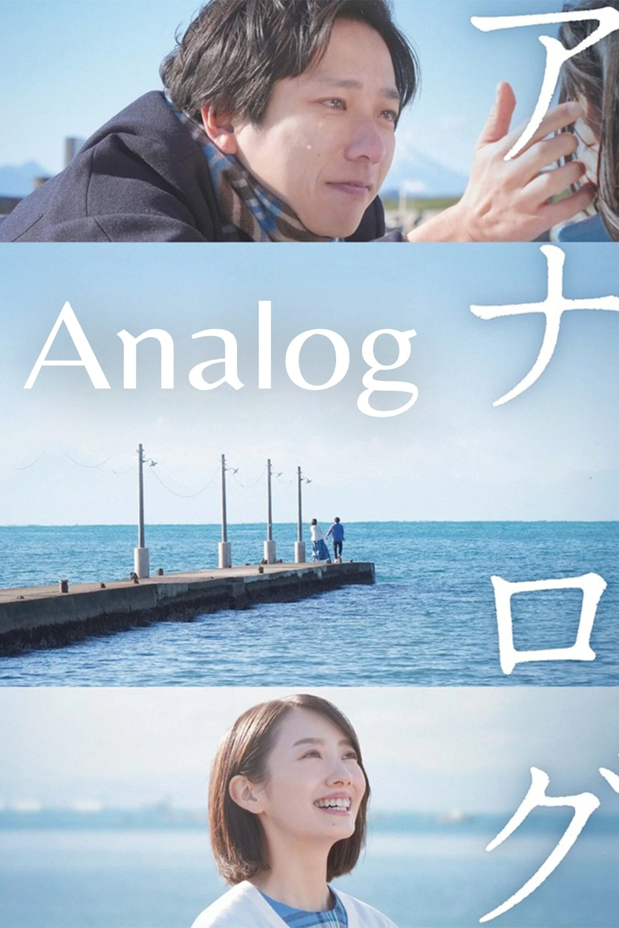 Analog
