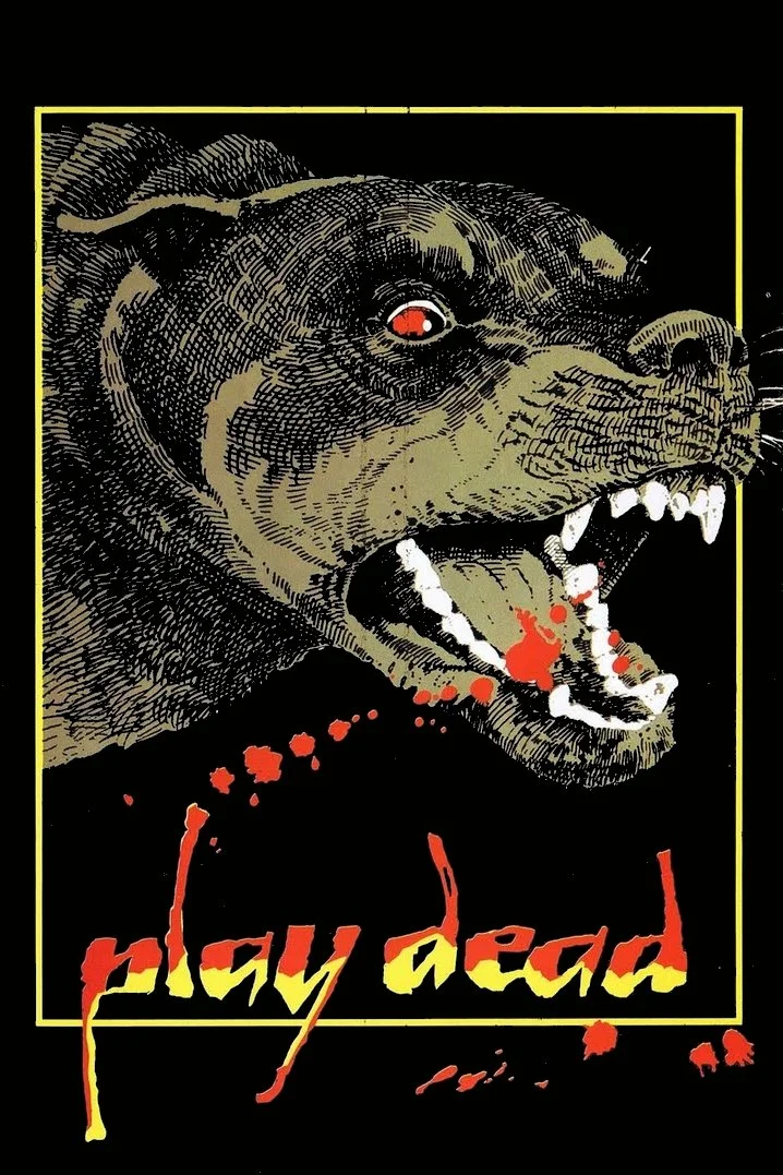 مرده بازی کن