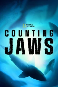 Contando tiburones