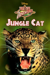 El jaguar del Amazonas
