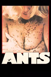 Les Fourmis