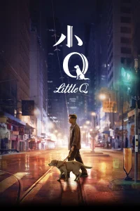Little Q (Pequeña Q)