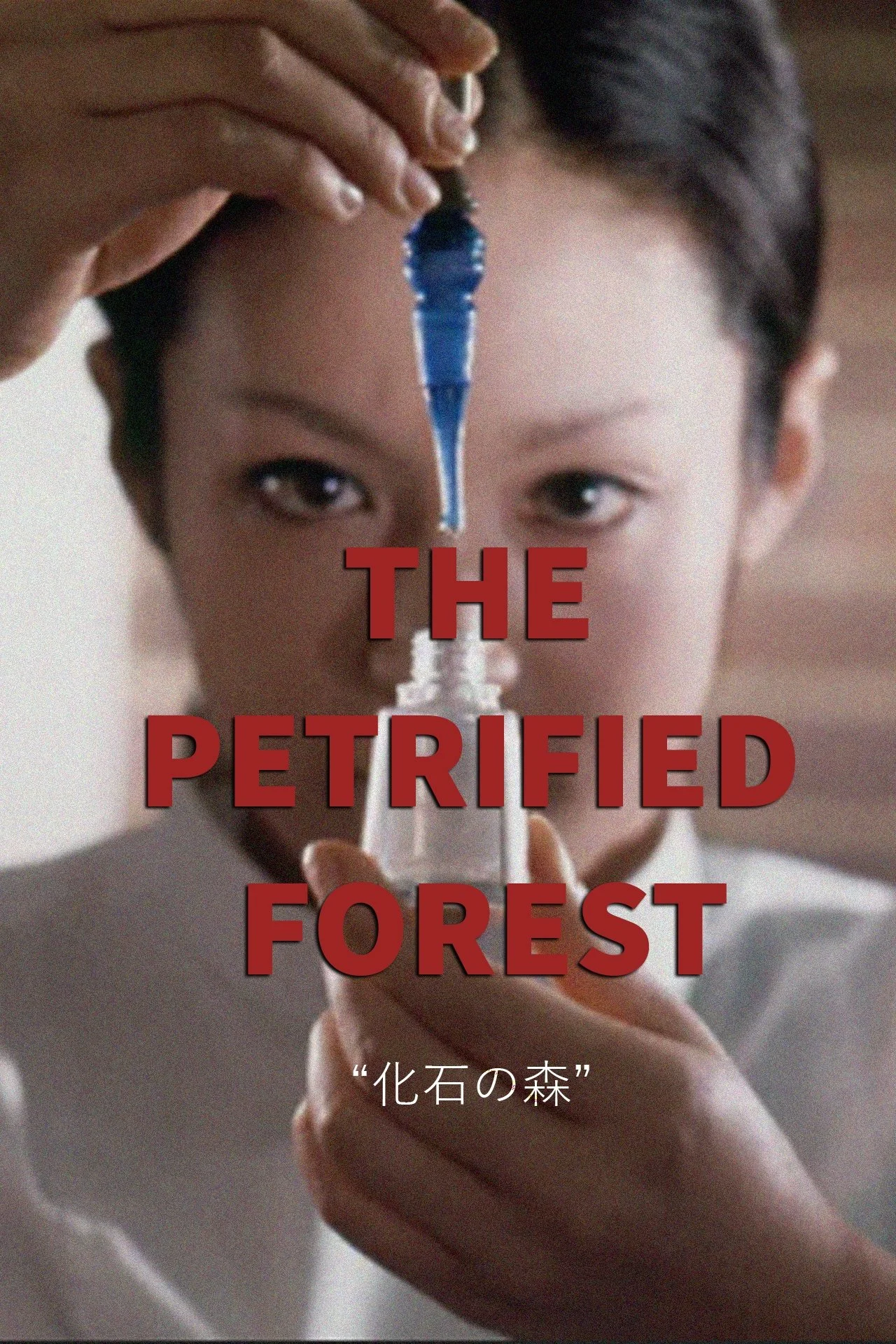 La forêt pétrifiée
