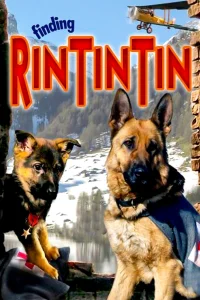 Rintintin