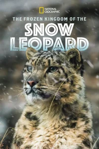 El Reino Helado del Leopardo de las Nieves