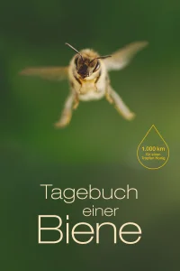 La vie secrète des abeilles