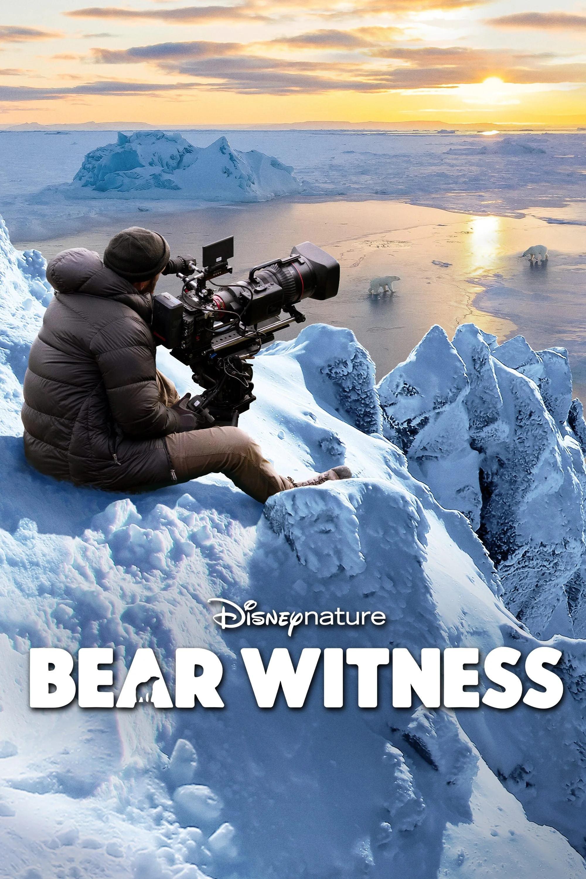 Ours Polaire : Le Making Of