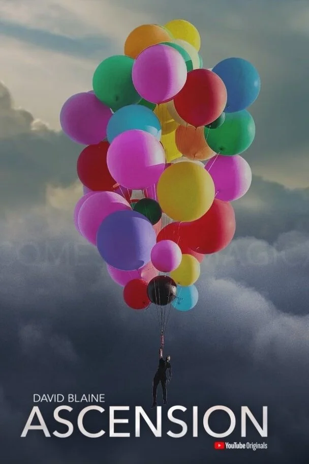 دیوید بلین: صعود