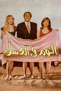 Naoum Fil Assal