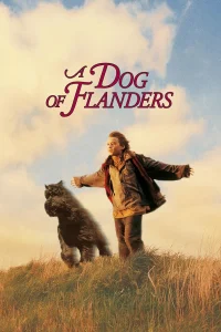 Nello et le chien des Flandres