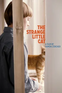 L'étrange petit chat