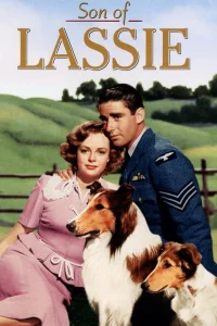 Le Fils de Lassie