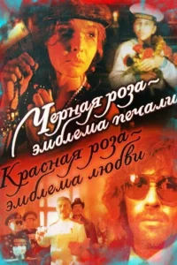 گل سیاه نماد اندوه، گل قرمز نماد عشق