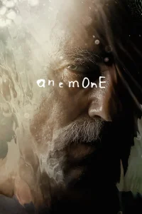 Anémona