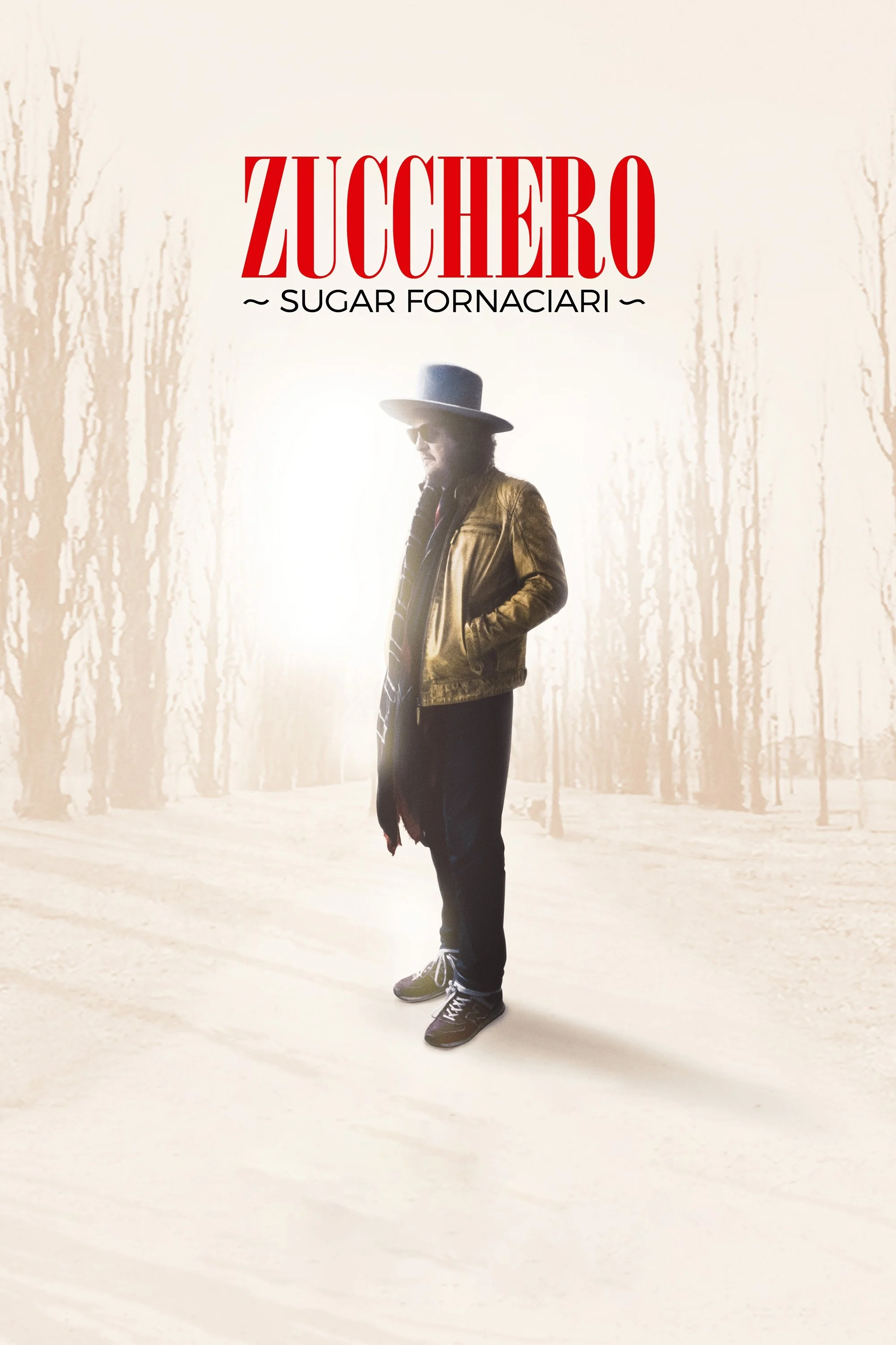Zucchero : Une vedette italienne