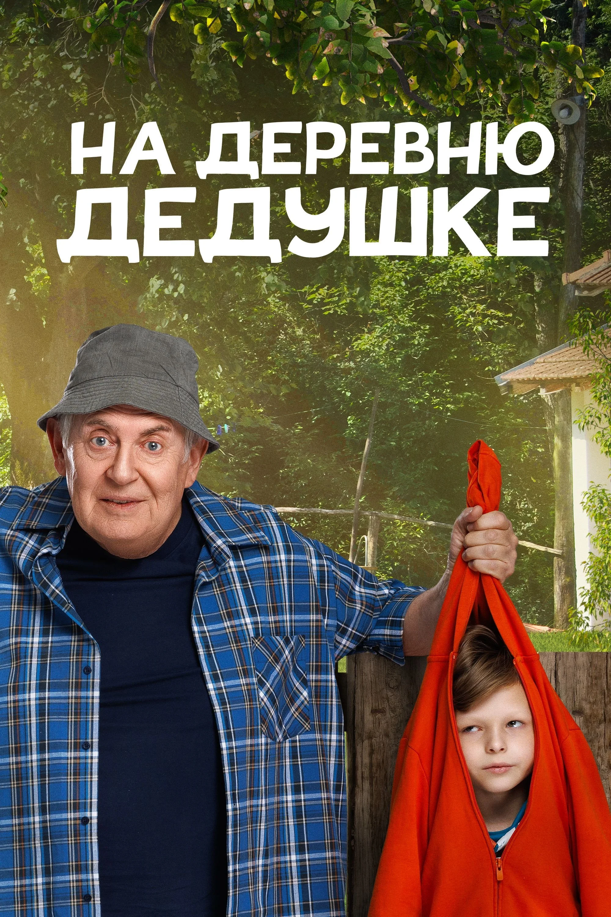 На деревню дедушке