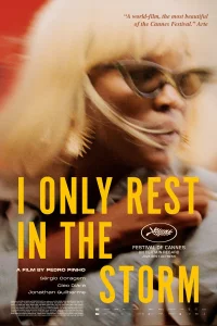 I Only Rest in the Storm