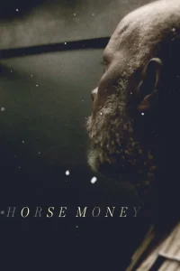 Caballo dinero