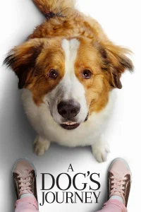 Mes Autres Vies de Chien
