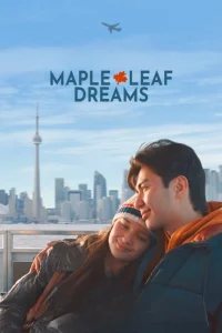 نُه برگ افرا استاندا Maple Leaf Dreams