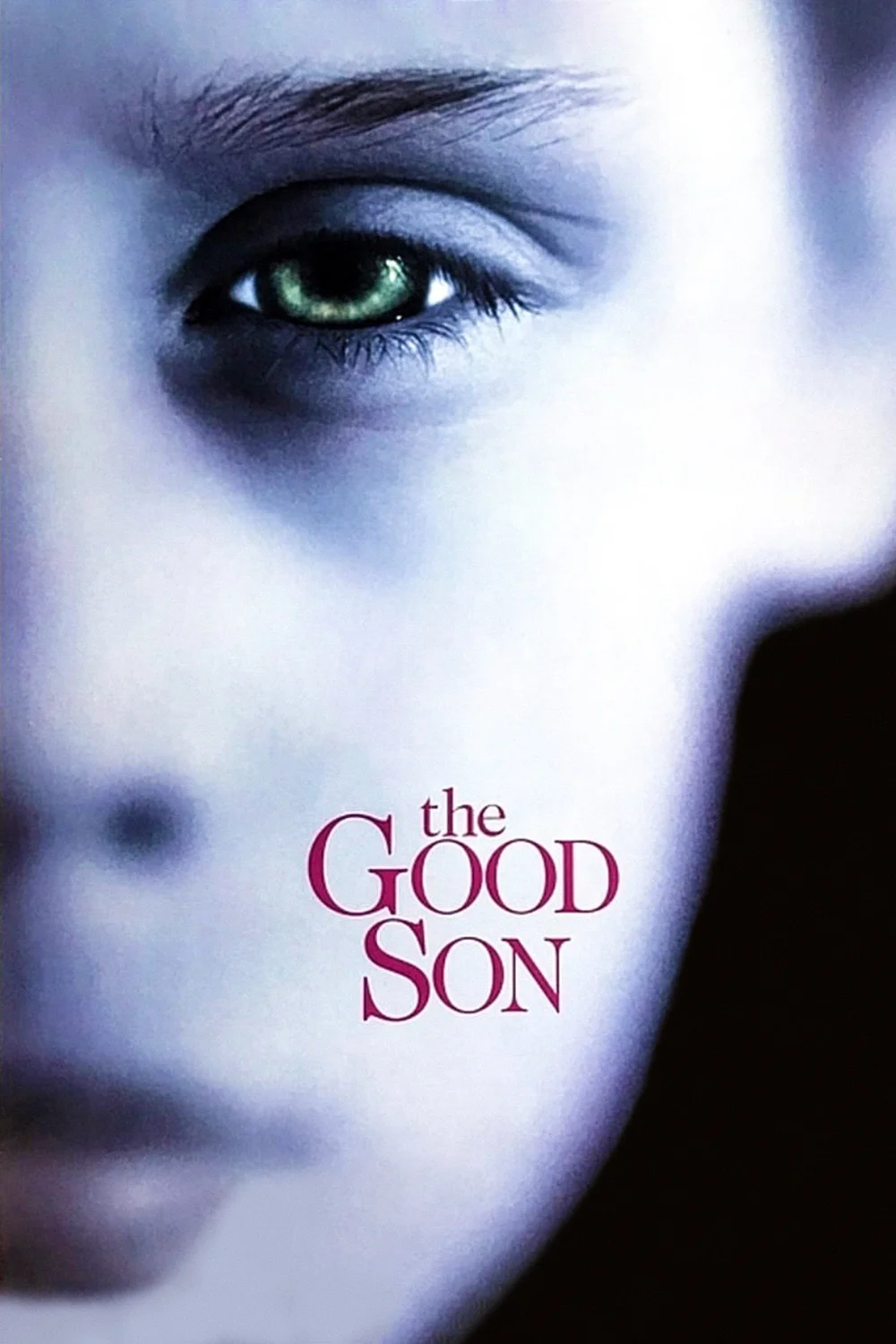Le Bon Fils