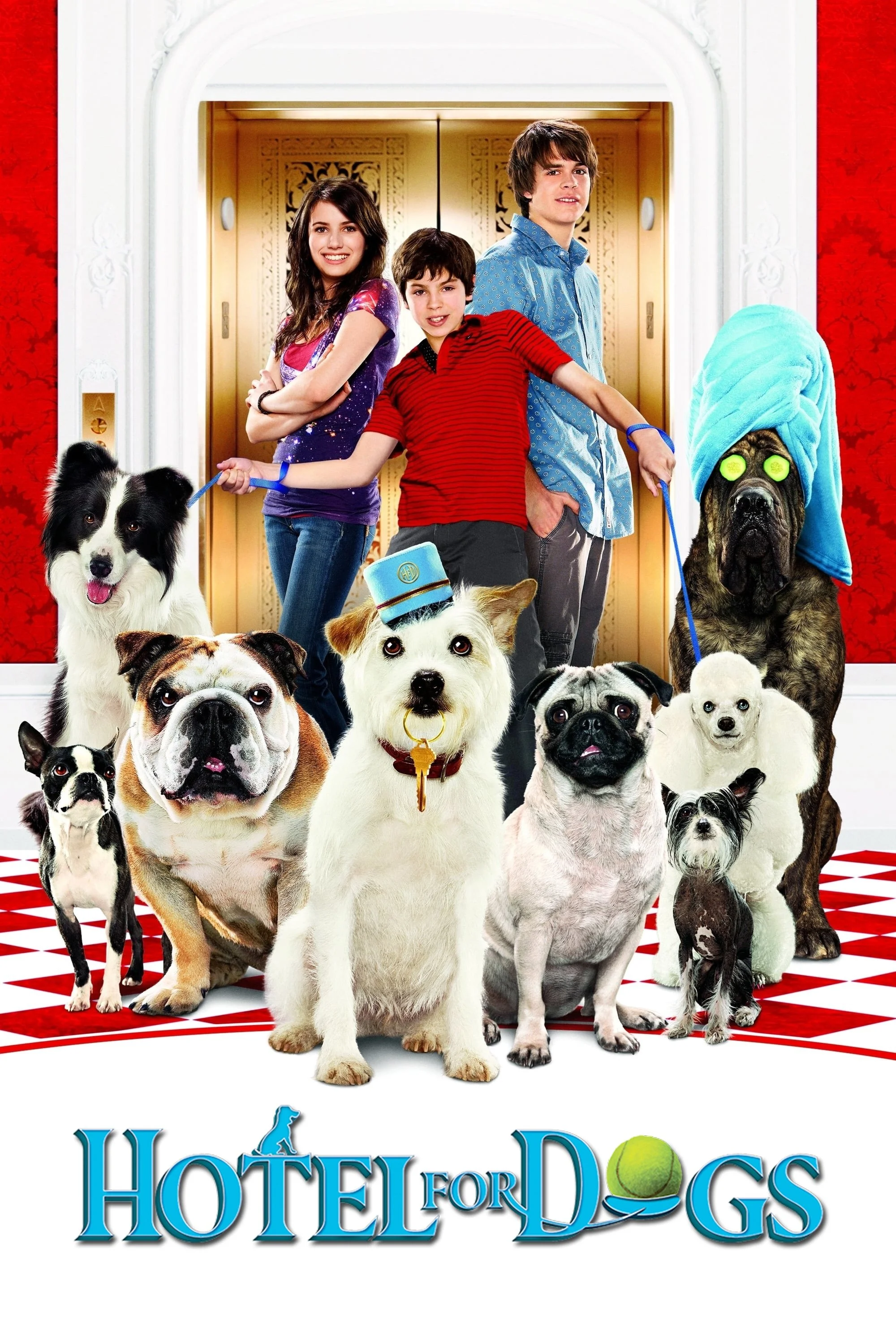 Hotel for Dogs