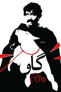 البقرة